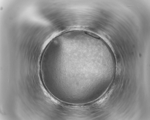 X0000088201341200705151303