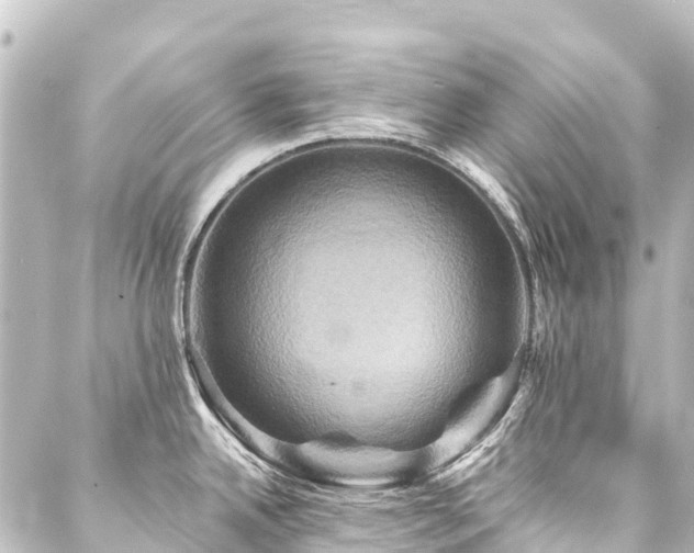 X0000088201342200705151303