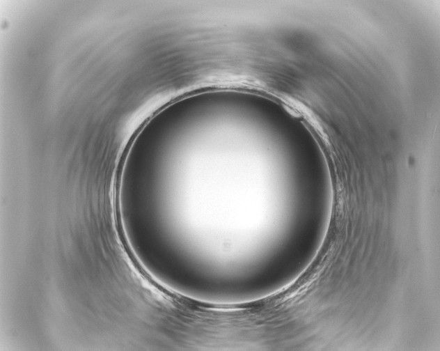 X0000088201343200705151303