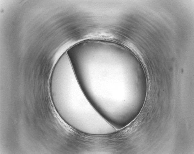 X0000088201344200705151303