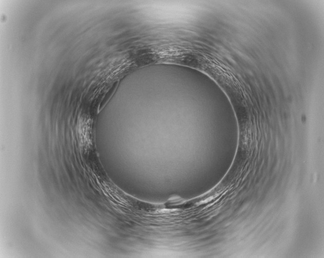 X0000088201346200705151302