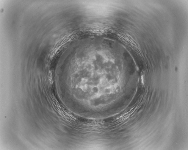 X0000088201347200705151302