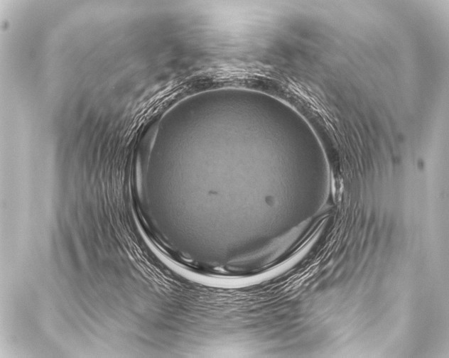 X0000088201348200705151302