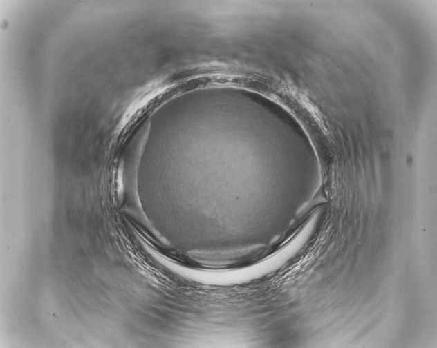 X0000088201352200705151302
