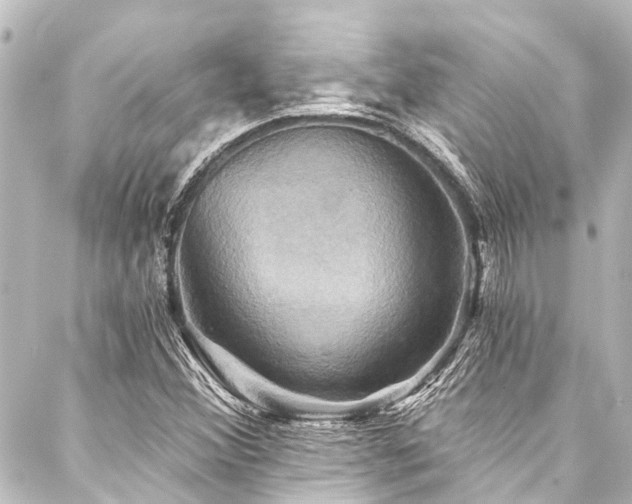 X0000088201356200705151302