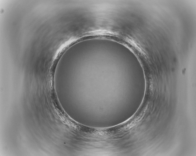 X0000088201358200705151302