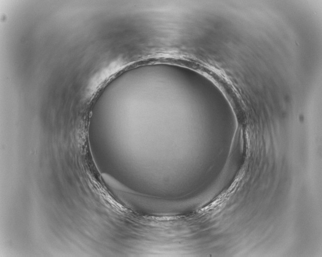 X0000088201359200705151302