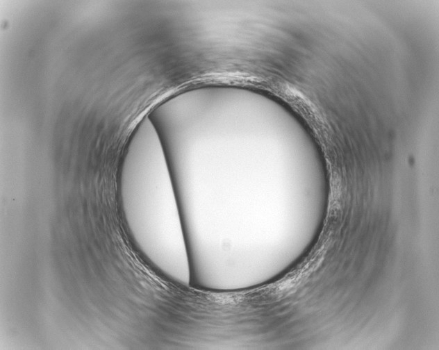 X0000088201361200705151302