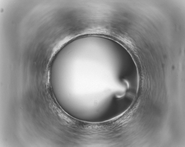 X0000088201366200705151302
