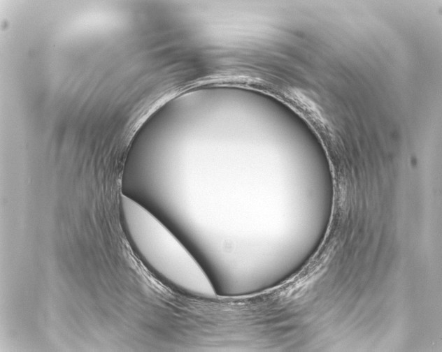 X0000088201369200705151302