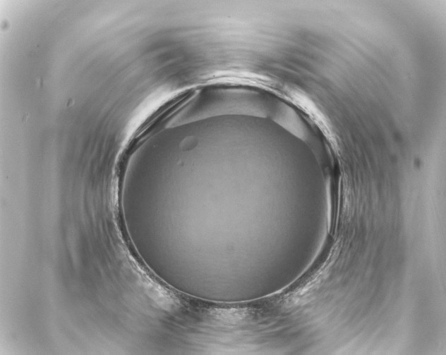 X0000088201376200705151302