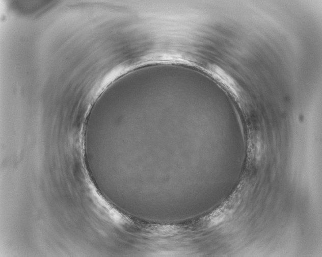 X0000088201382200705151302