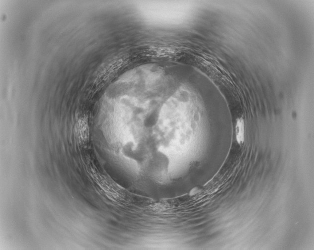 X0000088201395200705151301
