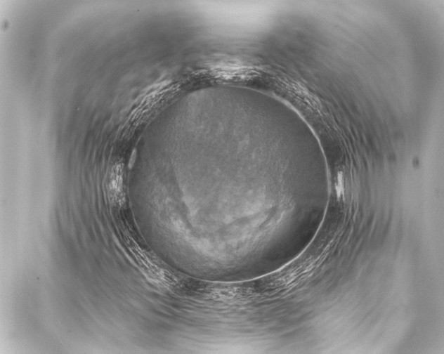 X0000088201396200705151301