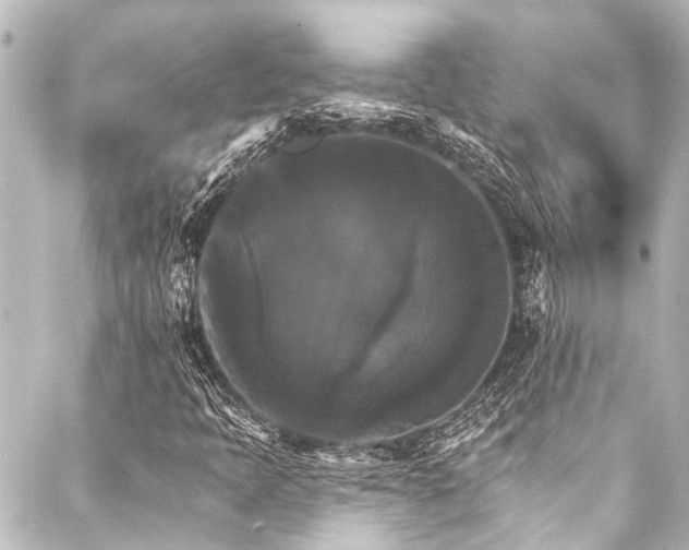 X0000088201397200705151301