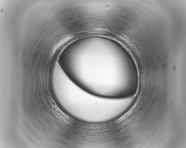 X0000088201402200705151301