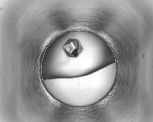 X0000088201430200705151301