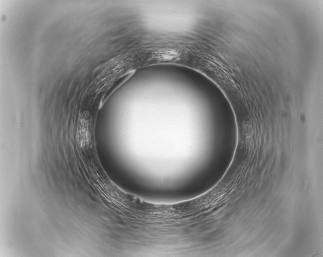 X0000088201442200705151301