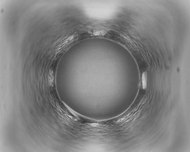 X0000088201443200705151301