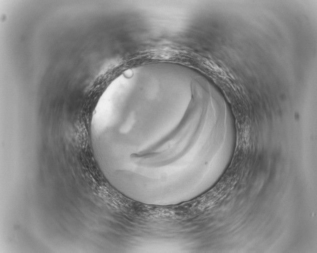 X0000088201446200705151301