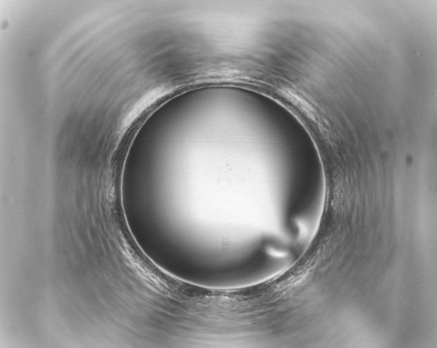 X0000088201458200705151301