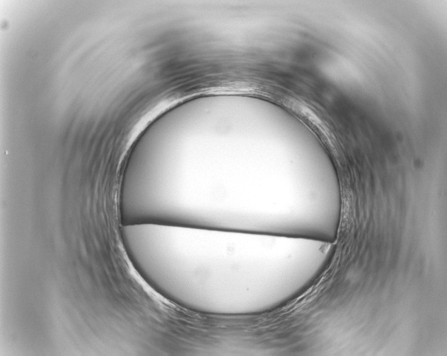 X0000088201487200705151300