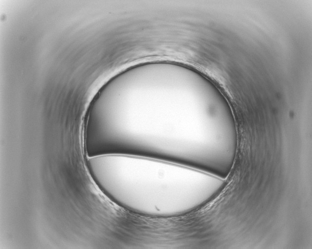X0000088201516200705151300
