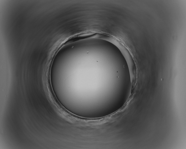 X0000088200001200705221732