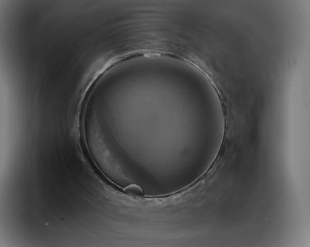 X0000088200002200705221732