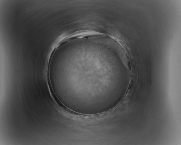 X0000088200003200705221732