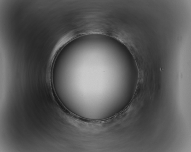 X0000088200004200705221732