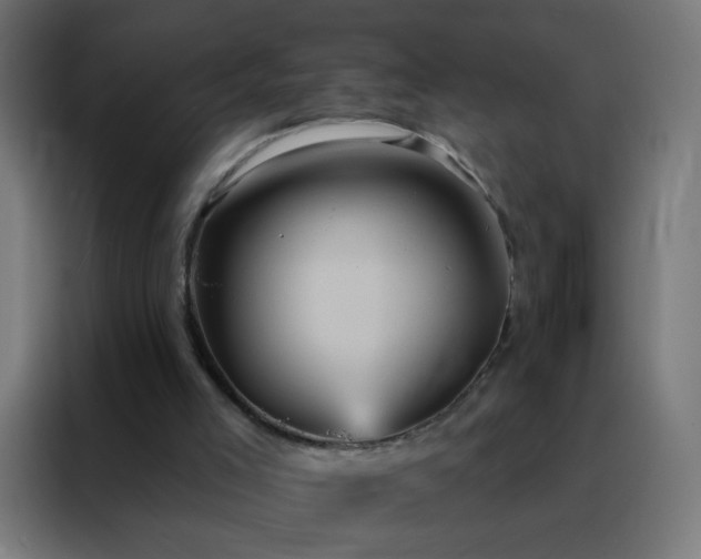 X0000088200005200705221732