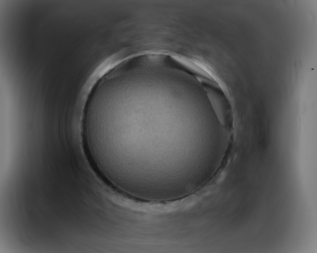 X0000088200007200705221732