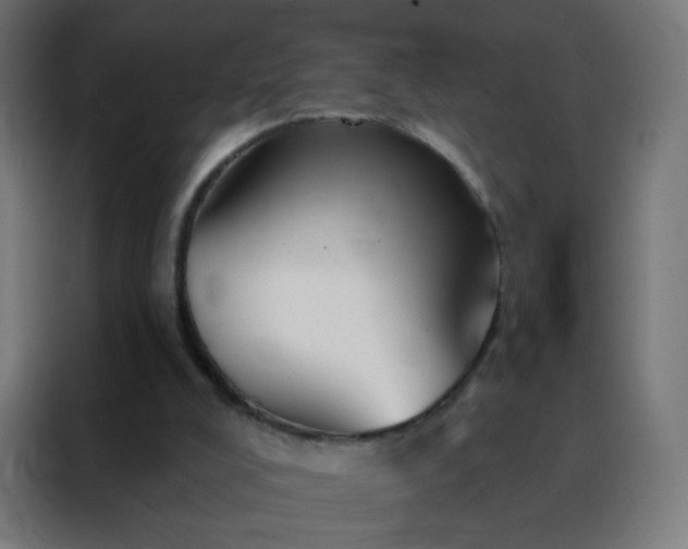 X0000088200008200705221732