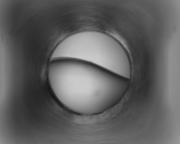 X0000088200009200705221732