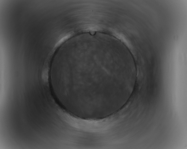 X0000088200010200705221732
