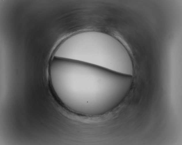 X0000088200011200705221732