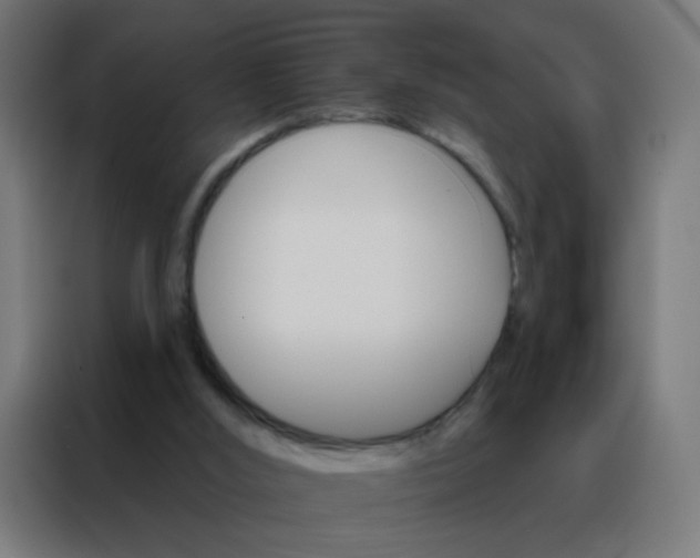 X0000088200012200705221732