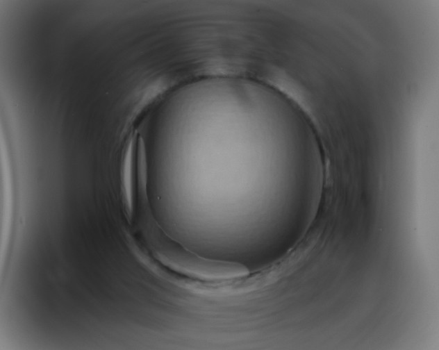 X0000088200013200705221732