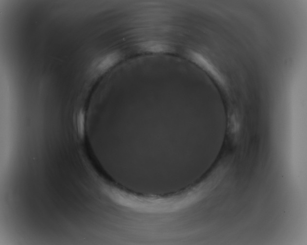 X0000088200014200705221732