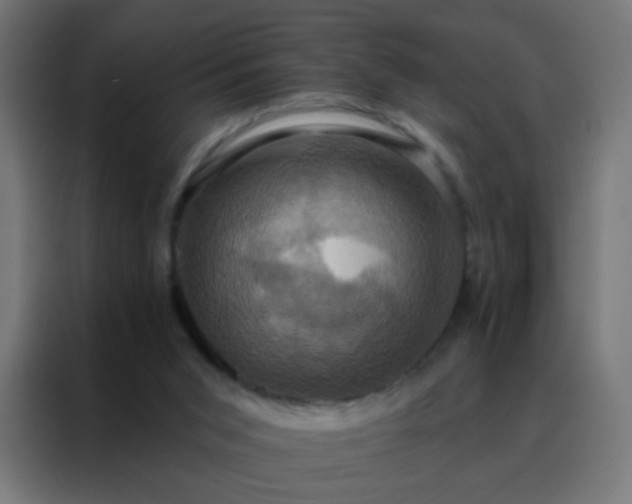 X0000088200015200705221732