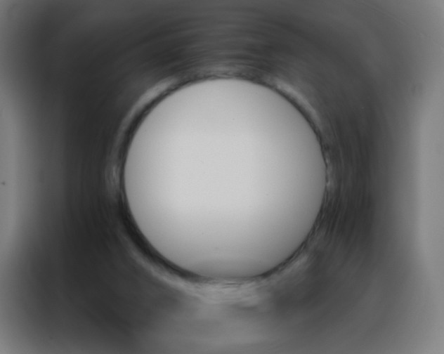 X0000088200016200705221732