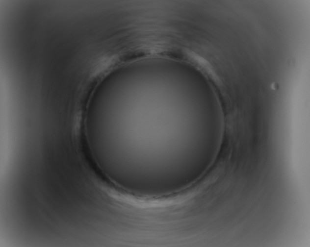 X0000088200018200705221732