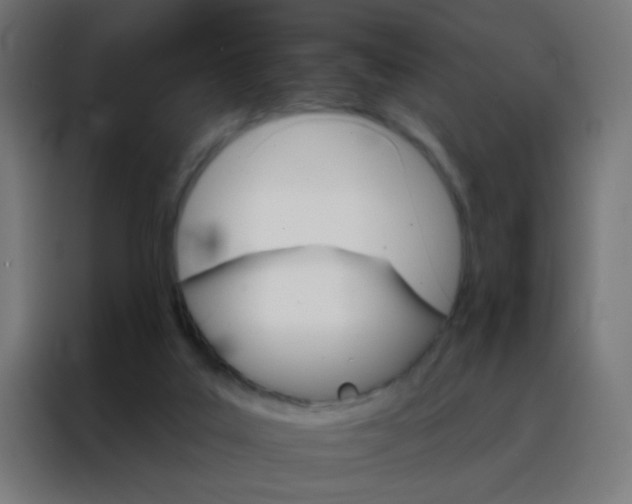 X0000088200019200705221732