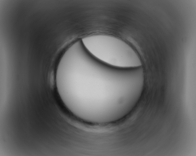 X0000088200020200705221732