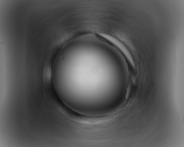X0000088200021200705221732