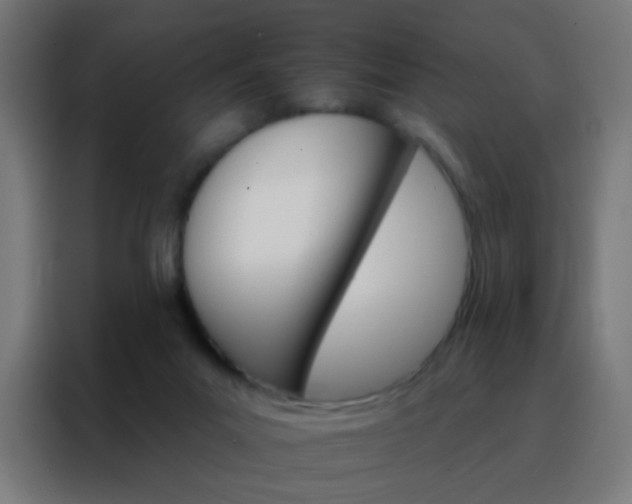 X0000088200023200705221732