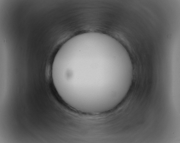 X0000088200024200705221732