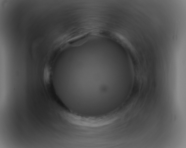 X0000088200026200705221732