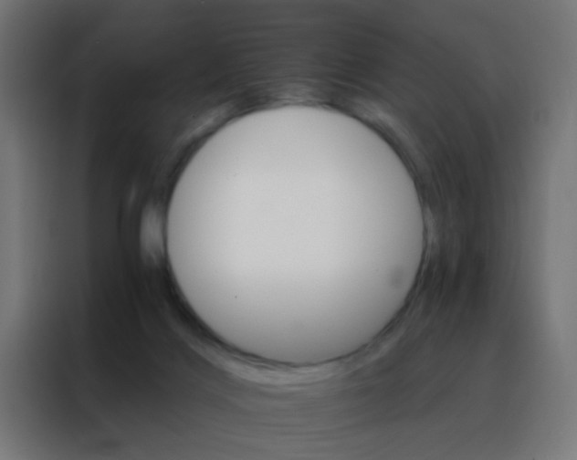 X0000088200028200705221732